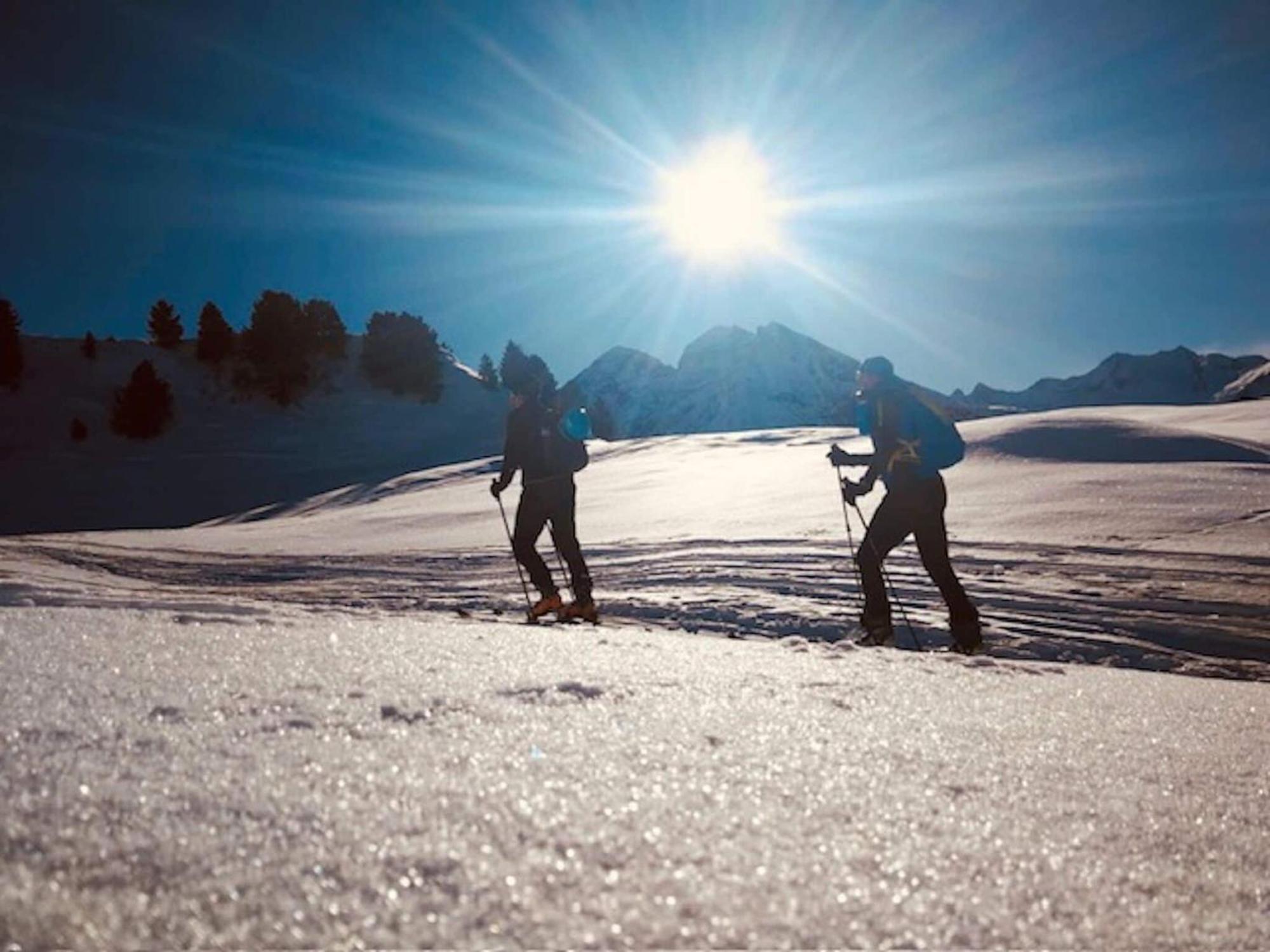 Flat South Of Kitzb Hel With Nationalparkcard Apartment Hollersbach im Pinzgau Luaran gambar