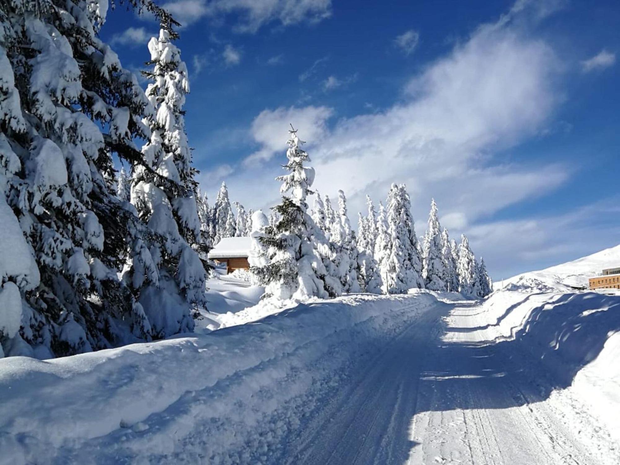 Flat South Of Kitzb Hel With Nationalparkcard Apartment Hollersbach im Pinzgau Luaran gambar